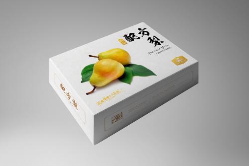 特色產(chǎn)品包裝設(shè)計(jì)到印刷制作的一體化整合 以無脊椎動(dòng)物主題為例